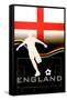 Brazil 2014 - England-null-Framed Stretched Canvas