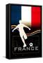 Brazil 2014 - France-null-Framed Stretched Canvas