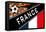 Brazil 2014 - France-null-Framed Stretched Canvas