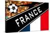 Brazil 2014 - France-null-Stretched Canvas