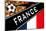 Brazil 2014 - France-null-Mounted Poster