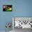 Brazil 2014 - Ghana-null-Framed Stretched Canvas displayed on a wall