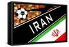 Brazil 2014 - Iran-null-Framed Stretched Canvas