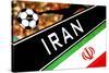 Brazil 2014 - Iran-null-Stretched Canvas