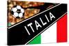 Brazil 2014 - Italy-null-Stretched Canvas