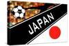 Brazil 2014 - Japan-null-Stretched Canvas
