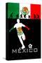 Brazil 2014 - Mexico-null-Stretched Canvas