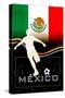 Brazil 2014 - Mexico-null-Stretched Canvas
