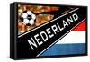 Brazil 2014 - Netherlands-null-Framed Stretched Canvas