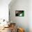 Brazil 2014 - Nigeria-null-Framed Stretched Canvas displayed on a wall