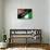 Brazil 2014 - Nigeria-null-Framed Stretched Canvas displayed on a wall