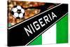 Brazil 2014 - Nigeria-null-Stretched Canvas