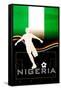 Brazil 2014 - Nigeria-null-Framed Stretched Canvas