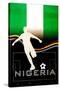 Brazil 2014 - Nigeria-null-Stretched Canvas