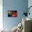 Brazil 2014 - Portugal-null-Framed Stretched Canvas displayed on a wall