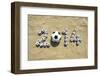 Brazil 2014 Soccer Football World Cup Message on Sand-LazyLlama-Framed Photographic Print