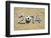 Brazil 2014 Soccer Football World Cup Message on Sand-LazyLlama-Framed Photographic Print