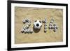 Brazil 2014 Soccer Football World Cup Message on Sand-LazyLlama-Framed Photographic Print