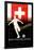 Brazil 2014 - Switzerland-null-Framed Poster