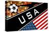 Brazil 2014 - USA-null-Stretched Canvas