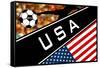 Brazil 2014 - USA-null-Framed Stretched Canvas