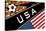 Brazil 2014 - USA-null-Stretched Canvas