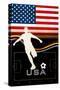 Brazil 2014 - USA-null-Stretched Canvas