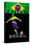 Brazil 2014-null-Stretched Canvas