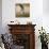 Brazil. A black skimmer in the Pantanal.-Ralph H. Bendjebar-Photographic Print displayed on a wall