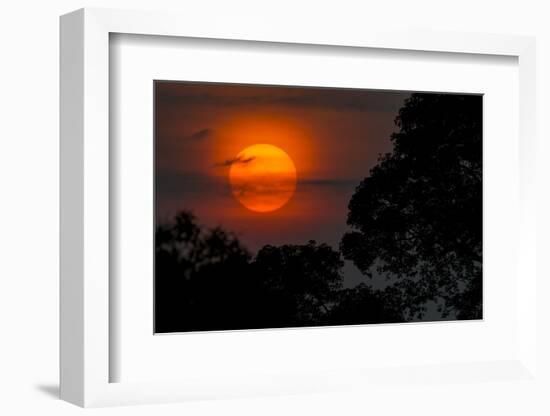 Brazil. A colorful orange sunset in the Pantanal.-Ralph H. Bendjebar-Framed Photographic Print