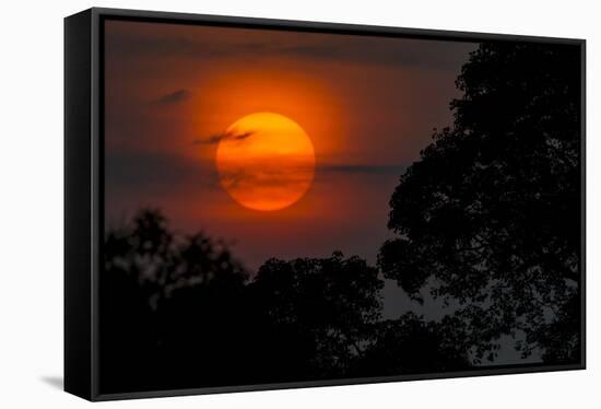 Brazil. A colorful orange sunset in the Pantanal.-Ralph H. Bendjebar-Framed Stretched Canvas