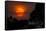 Brazil. A colorful orange sunset in the Pantanal.-Ralph H. Bendjebar-Framed Stretched Canvas