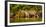 Brazil. A female jaguar hunting along the banks of a river in the Pantanal-Ralph H. Bendjebar-Framed Premium Photographic Print