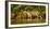 Brazil. A female jaguar hunting along the banks of a river in the Pantanal-Ralph H. Bendjebar-Framed Photographic Print