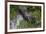 Brazil. A giant anteater in the Pantanal.-Ralph H. Bendjebar-Framed Premium Photographic Print