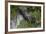 Brazil. A giant anteater in the Pantanal.-Ralph H. Bendjebar-Framed Premium Photographic Print