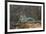 Brazil. A jaguar rests along the banks of a river in the Pantanal.-Ralph H. Bendjebar-Framed Photographic Print