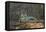 Brazil. A jaguar rests along the banks of a river in the Pantanal.-Ralph H. Bendjebar-Framed Stretched Canvas