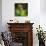 Brazil. A male jaguar resting along the banks of a river in the Pantanal-Ralph H. Bendjebar-Photographic Print displayed on a wall