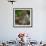 Brazil. A male jaguar resting along the banks of a river in the Pantanal-Ralph H. Bendjebar-Framed Photographic Print displayed on a wall