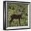 Brazil. A male marsh deer in the Pantanal.-Ralph H. Bendjebar-Framed Premium Photographic Print