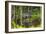 Brazil. A sunbittern foraging along the banks of a river in the Pantanal.-Ralph H. Bendjebar-Framed Photographic Print