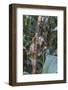 Brazil, Amazon, Manaus, Common Squirrel monkey in the trees.-Ellen Goff-Framed Photographic Print