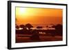 Brazil, Bahia, Island Morro De Sao Paulo, Beach, Rock, Sea, Sunset-Chris Seba-Framed Photographic Print