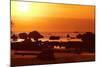 Brazil, Bahia, Island Morro De Sao Paulo, Beach, Rock, Sea, Sunset-Chris Seba-Mounted Photographic Print