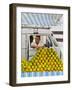 Brazil, City of Rio de Janeiro, Leme, Weekly Fresh Food Market.-Karol Kozlowski-Framed Photographic Print