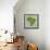 Brazil Country Shape Soccer Balls-cienpies-Framed Stretched Canvas displayed on a wall