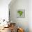 Brazil Country Shape Soccer Balls-cienpies-Stretched Canvas displayed on a wall