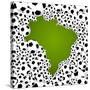 Brazil Country Shape Soccer Balls-cienpies-Stretched Canvas