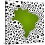 Brazil Country Shape Soccer Balls-cienpies-Stretched Canvas